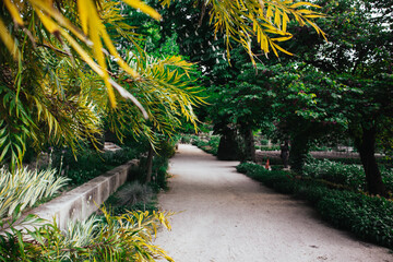 A pathway in spring garden in a shadow of green trees. Trimmed bushes and blooming flowers. Tropical landscape. Botanical park nature in daytime.