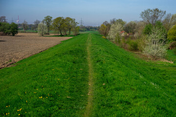 01.05.2024 - Przylasek Rusiecki. Kraków. Polska. Piękna słoneczna aura która sprzyja odpoczynkowi. Ścieżka na wałach przeciwpowodziowych.