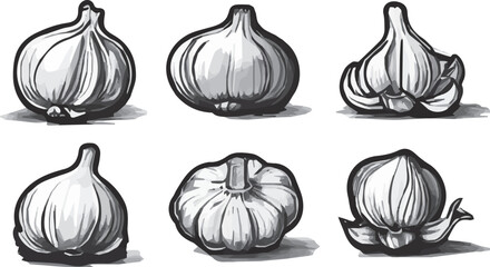 "Artistic Hand-Drawn Garlic: Detailed Illustrations for Culinary Designs"