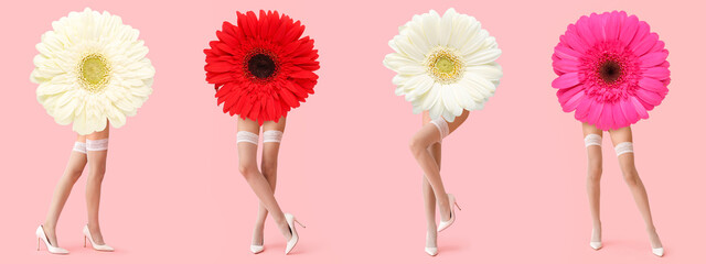 Collage with gerbera flowers and legs of young woman in white stockings and high heels on pink...