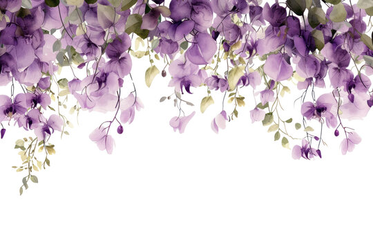 PNG Purple flower blossom nature plant