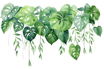 PNG Tropical leaves plant green leaf - obrazy, fototapety, plakaty