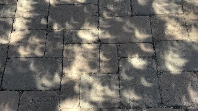 Crescent shaped solar eclipse shadows