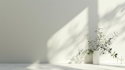 Olive plant in white vase on marble surface with natural light and shadow.