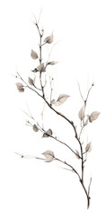 Fototapeta premium PNG Drawing branch sketch plant