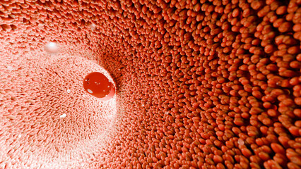 Probiotics in intestinal tract. endoscopy through intestines. Microbiota, Pill Capsule with vitamins for digestive system, stomach pain treatment, Red microvilli, 3d render