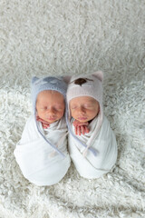 Twins. newborn twin boys on a white background in hats. newborn photo session