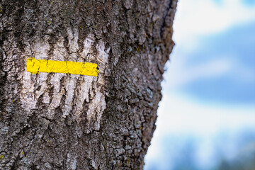Hiking trail marking in France. Marking the tourist route on the tree trunk in France. Hiking trail...