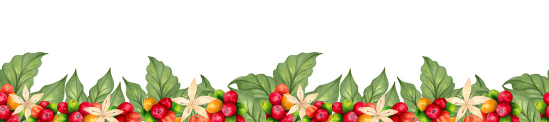 Coffee seamless border with beans and flower. Watercolor illustration. Aroma of Robusta and Arabica varieties. Frame of coffee cherries ripening. Hand drawn isolated art. Natural style. Coffee day