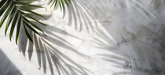 Shadow of some palm trees reflecting on a minimalist wall - copy space