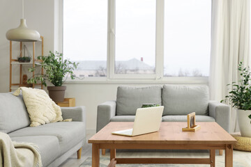 Interior of beautiful living room with comfortable sofas, houseplants, shelving unit and table with laptop