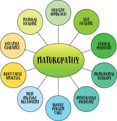 naturopathy, health, holistic healthcare, lifestyle  and integrative medicine concept,  vector mind map infographics - 786671860