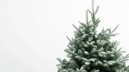 A snow-covered Christmas tree in a winter wonderland. Perfect for holiday-themed projects