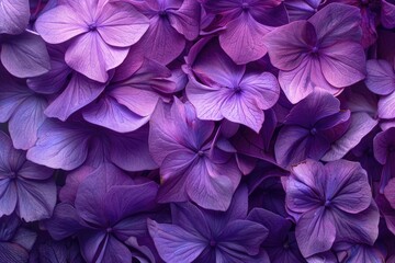 Close up of a bunch of purple flowers. Perfect for floral backgrounds