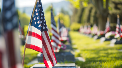 National Cemetery on Memorial Day, Flags Displayed with Honor, Solemn Remembrance