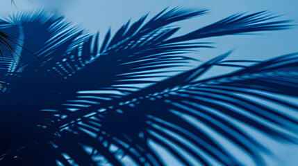 Shadow of some palm trees reflecting on a blue wall - copy space