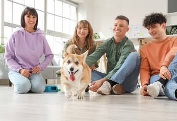 Young people playing with Corgi dog on floor in office