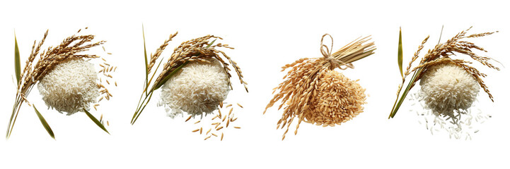 Set of a rice a paddy in the out line no shaded underneath, on a transparent background