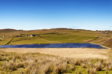 Fototapeta premium Petit loch au milieu des herbes folles jaunies à Balchladich dans l'Assynt en Ecosse en fin de journée