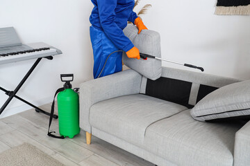 Male worker disinfecting sofa in room