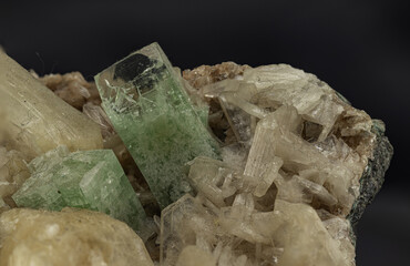 A crystal-clear moment captured, featuring the subtle elegance of apophyllite and stilbite minerals in their natural, harmonious assembly