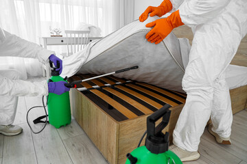 Male workers disinfecting bed in bedroom
