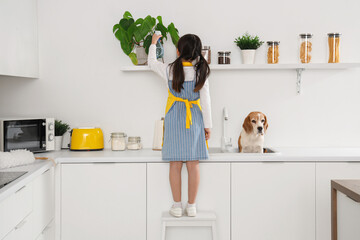 Cute little girl with Beagle dog watering plant in kitchen, back view