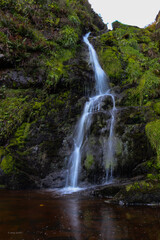 waterfall in the forest