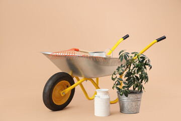 Plant, can and rake in wheelbarrow on beige background