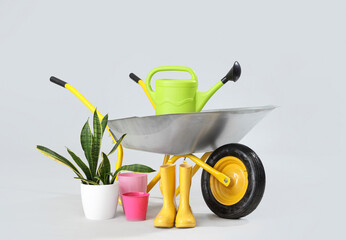 Plant, gardening supplies and wheelbarrow on white background