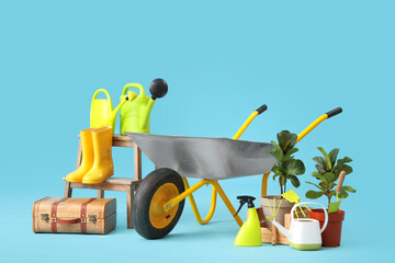 Plant, gardening supplies and  wheelbarrow on blue background