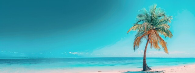 Solitary palm tree on a tranquil beach with clear blue sky, embodying tropical serenity and the allure of summer escapes, Concept of travel, relaxation, and exotic destinations
