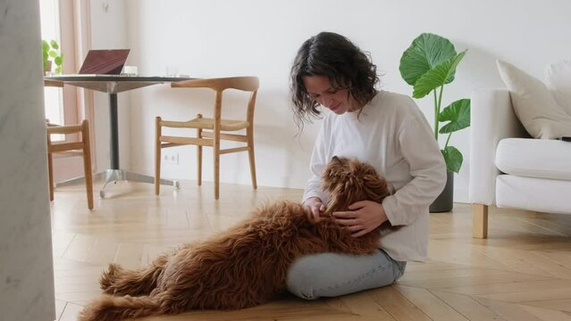 Сute video of young woman sitting  on floor petting her dog labradoodle breed. Person spending time at home with his fluffy pet, time to relax stroking pet and slow down in cozy atmosphere