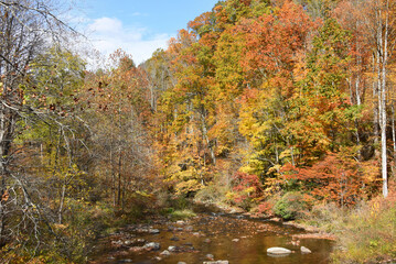 Appalachian Mountain Stream in Autumn