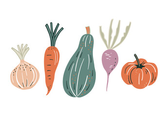 Vegetables set, Hand drawn vector illustration.