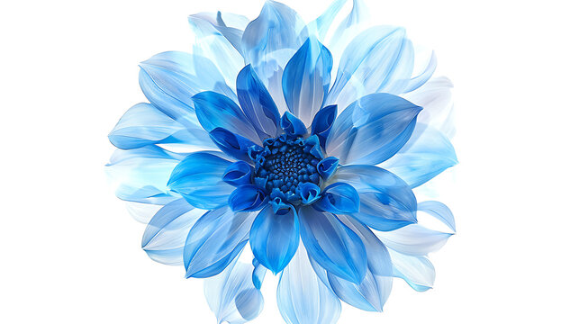 a vibrant blue flower with delicate petals and intricate details at its center. The petals radiate outward in a mesmerizing display of color