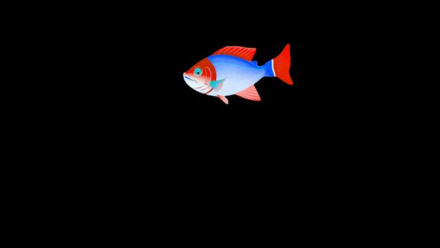 animated cartoon fish swimming. without background