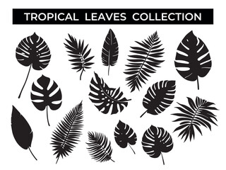Fototapeta na wymiar Assorted Tropical Leaves Arrangement