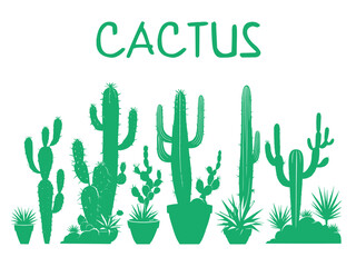 Cactus Silhouettes on White Background 
