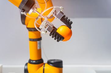 robot hand is holding a orange. Modern technology and robotics. - 786698016