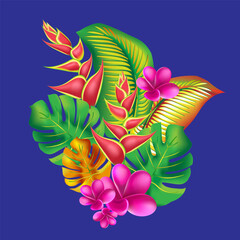 jungle flower,leaves  tropic set. isolated elements. Palm leaf, monstera, pink plumeria flower,hibiscus blossom, exotic tropical summer flowers and leaves. - 786703825