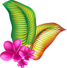 jungle flower,leaves  tropic set. isolated elements. Palm leaf, monstera, pink plumeria flower,hibiscus blossom, exotic tropical summer flowers and leaves. - 786703883