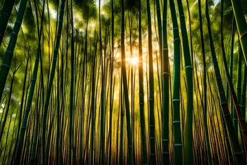 Foto op Canvas bamboo forest background © Goshi