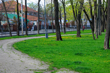 A park with a path and trees. Background with copy space for text
