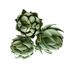 fresh natural artichokes on a white acrylic background