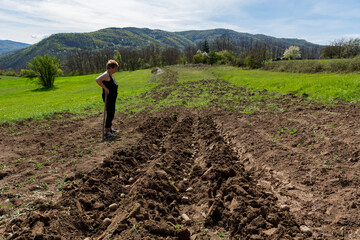 Female farmer leaning on a hoe, contentedly observing freshly planted potatoes in the furrows on a...