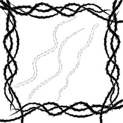 frame of thorny rose vines