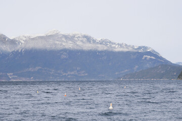 Obraz premium Porteau Cove Provincial Park during a winter season in British Columbia, Canada