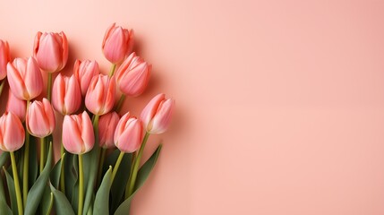 Delicate Pink Tulips Positioned on a Soft Pastel Background with Copy Space
