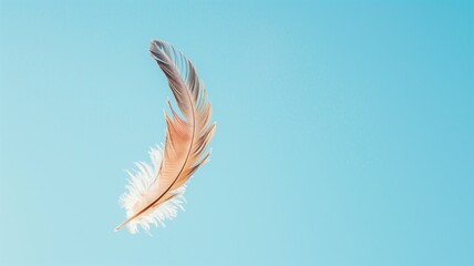 Single delicate feather floating against clear blue sky